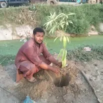 Green Seekers Activity